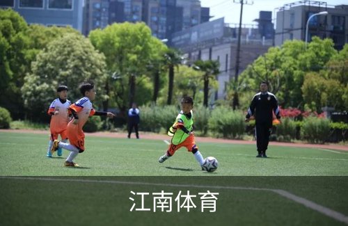 走进江南体育